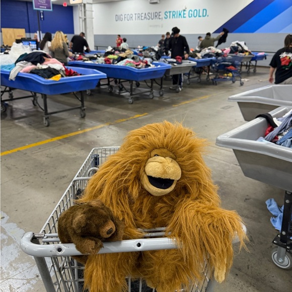 Tops - Unlisted Show Listing